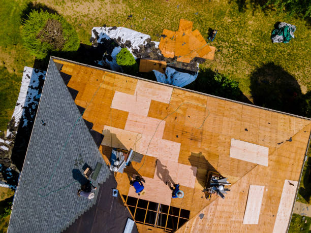 Quick and Trustworthy Emergency Roof Repair Services in East Bethel, MN